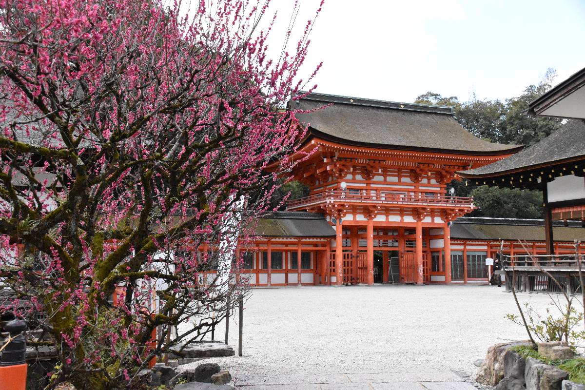 上賀茂神社・下鴨神社